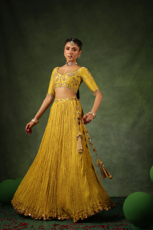 Pakeezah Zardosi Phool Buta Lehenga Sunehra