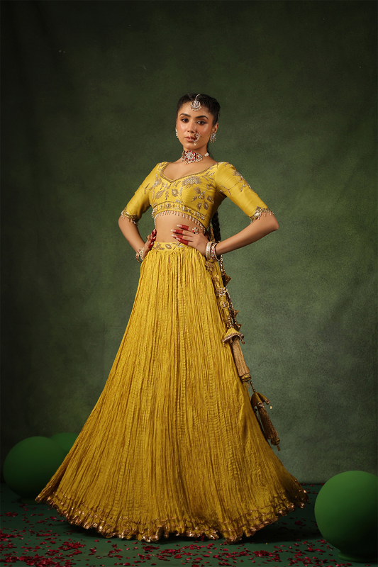 Pakeezah Zardosi Phool Buta Lehenga Sunehra