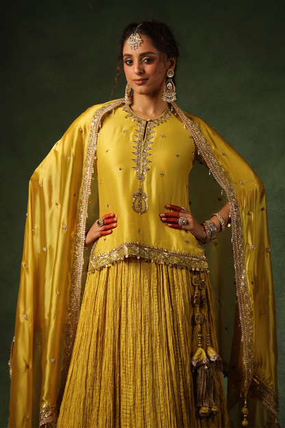 Pakeezah Zardosi Ambi Kurta Lehenga Sunehra