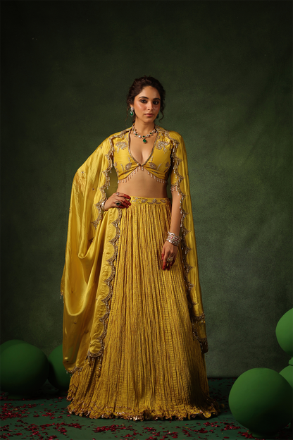 Pakeezah Zardosi Buta Lehenga Sunehra