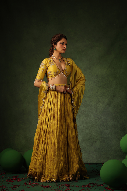 Pakeezah Zardosi Buta Lehenga Sunehra