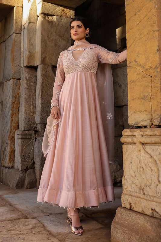 Vaayu Light Pink Applique Kalidar Set