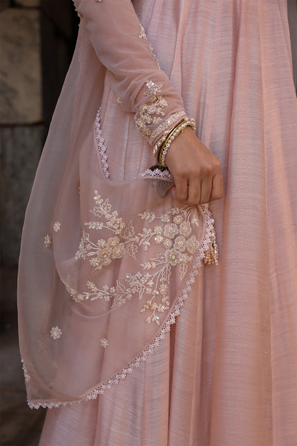 Vaayu Light Pink Applique Kalidar Set