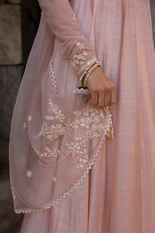 Vaayu Light Pink Applique Kalidar Set