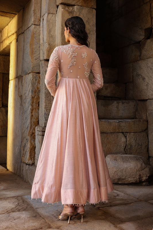 Vaayu Light Pink Applique Kalidar Set