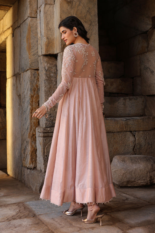 Vaayu Light Pink Applique Kalidar Set