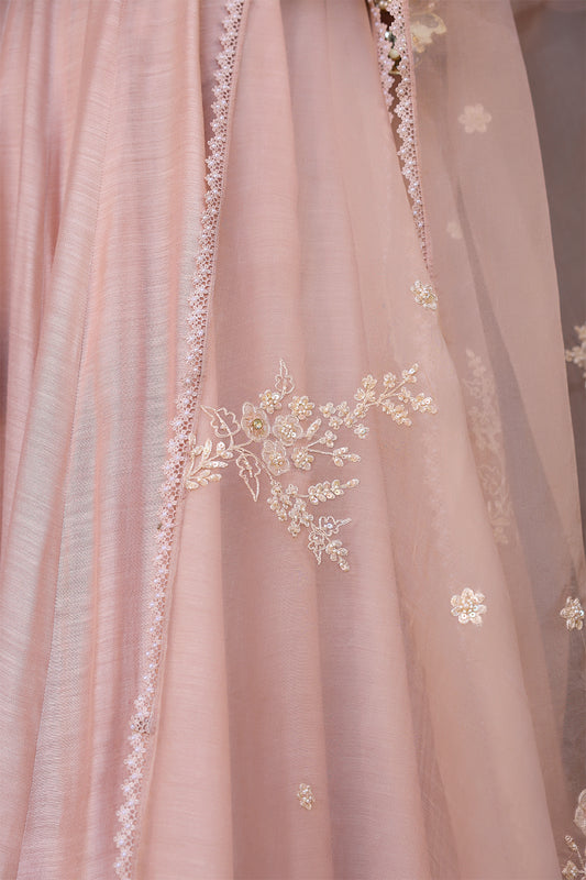 Vaayu Light Pink Applique Kalidar Set