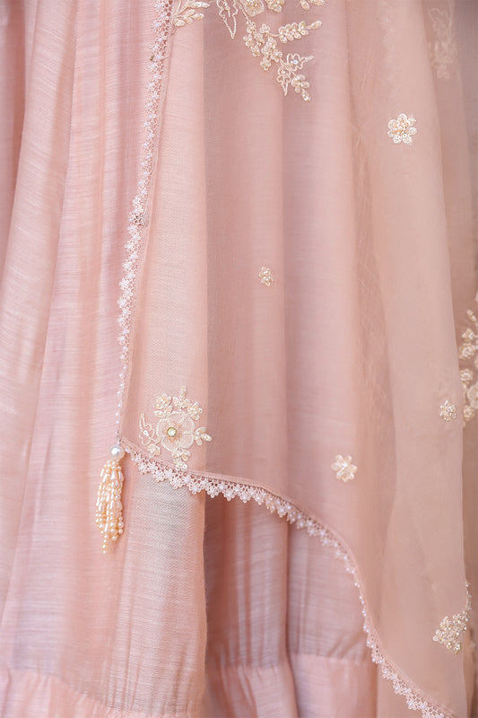 Vaayu Light Pink Applique Kalidar Set