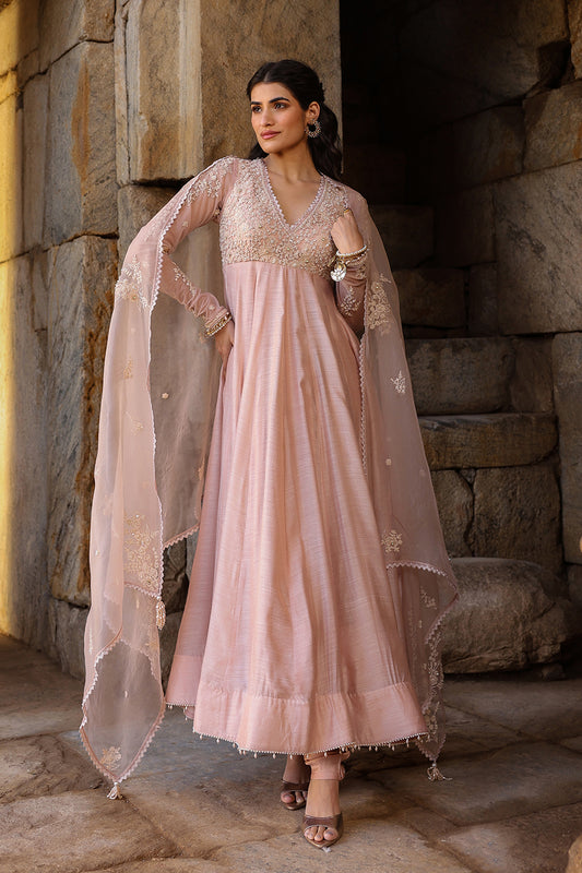 Vaayu Light Pink Applique Kalidar Set