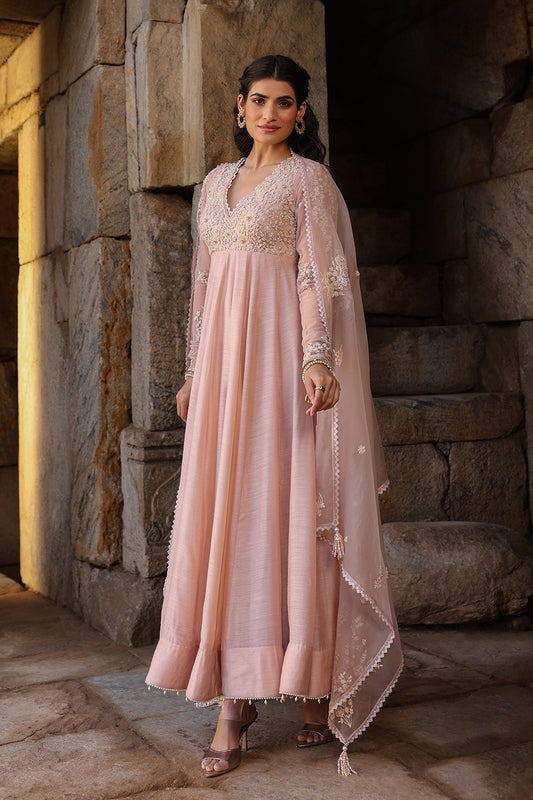 Vaayu Light Pink Applique Kalidar Set