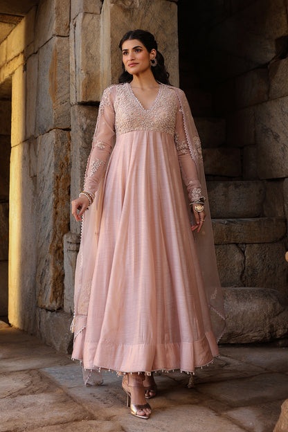 Vaayu Light Pink Applique Kalidar Set