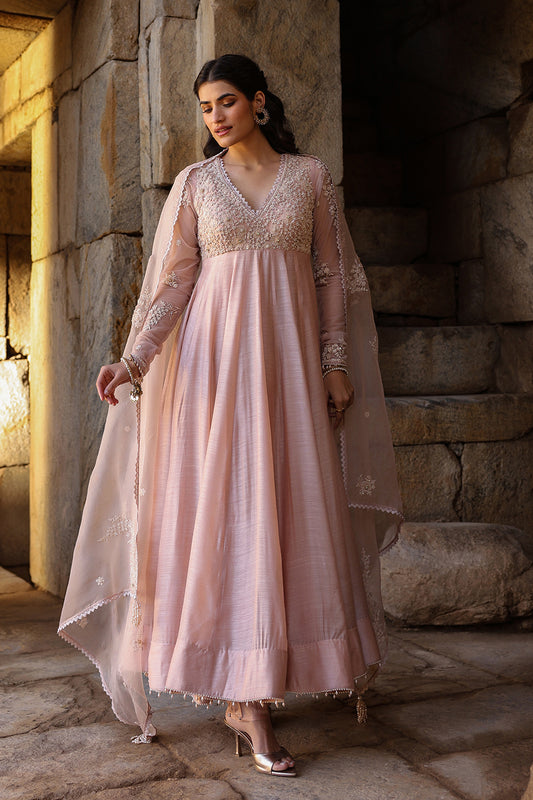 Vaayu Light Pink Applique Kalidar Set