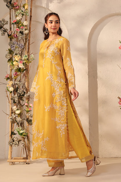 Vaayu Yellow Jaal Straight kurta Set