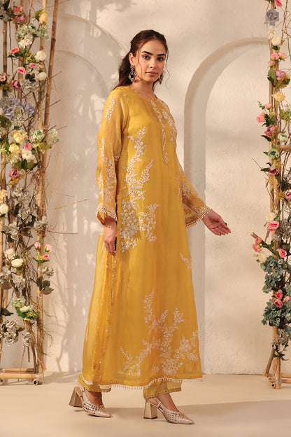 Vaayu Yellow Jaal Straight kurta Set