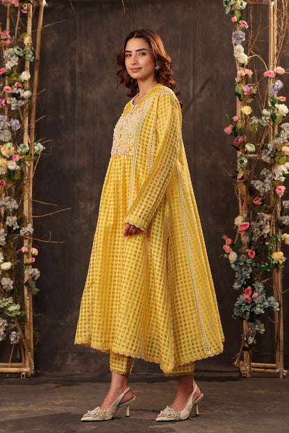 Vaayu Yellow Panelled Kalidar Set