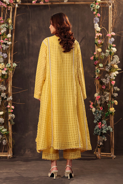 Vaayu Yellow Panelled Kalidar Set