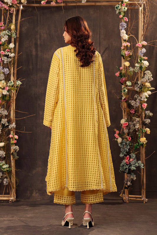 Vaayu Yellow Panelled Kalidar Set