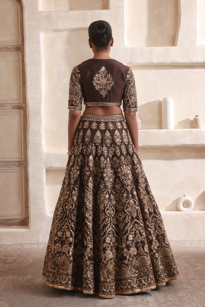 Zar:Rang Brown Jaal Lehenga Set