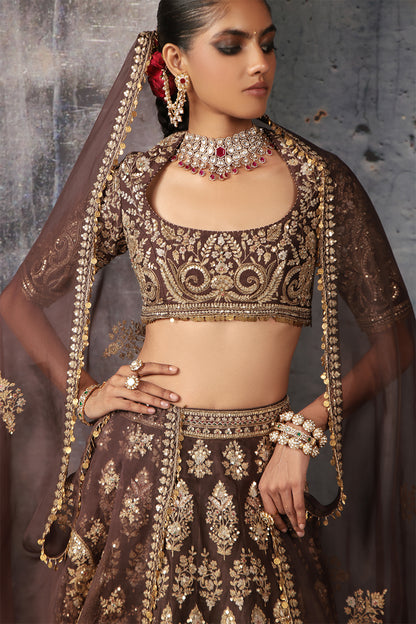 Zar:Rang Brown Jaal Lehenga Set