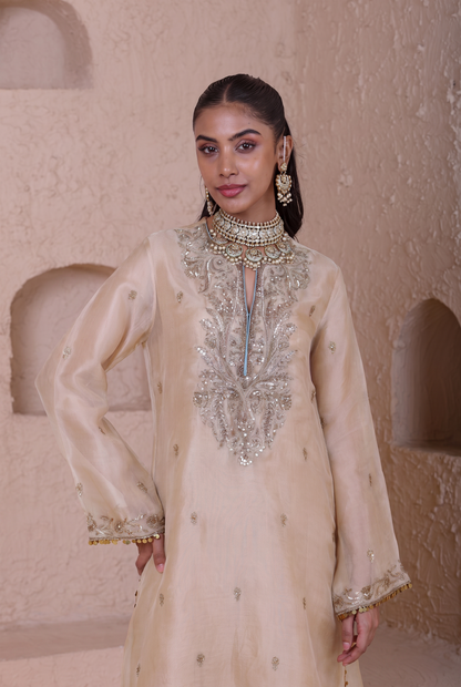 Rangrez Ivory Straight Long Kurta Set