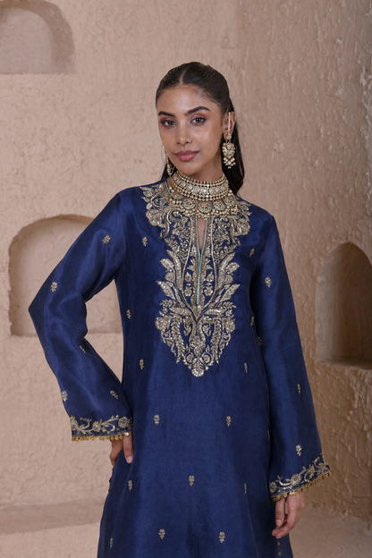 Rangrez  Blue Straight Long Kurta Set