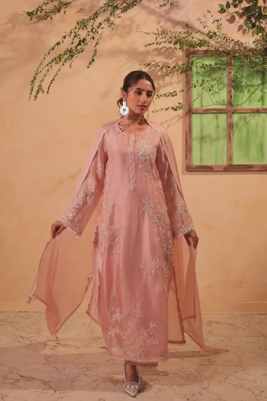 Vaayu Light Pink Jaal Straight Kurta Set