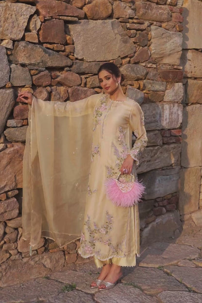 Vaayu Beige Multicolor Jaal Kurta Set