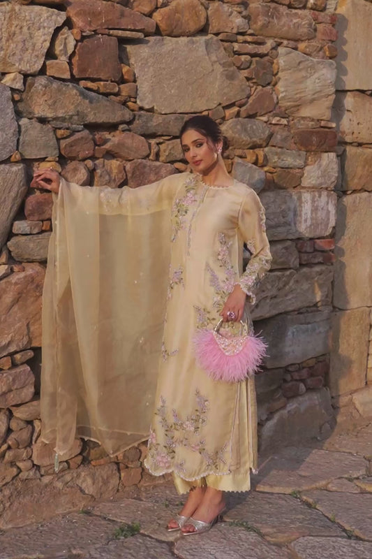 Vaayu Beige Multicolor Jaal Kurta Set