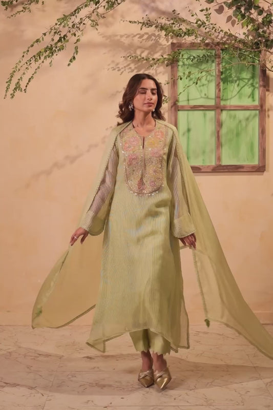 Vaayu Green Panelled Kalidar Set