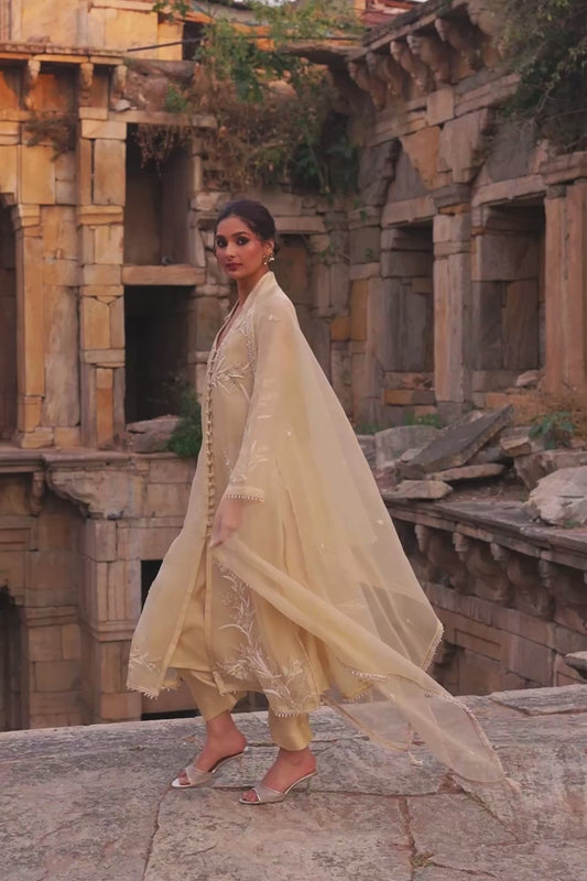 Vaayu Beige Heavy Jacket Kurta Set