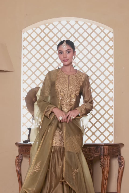 Mehrang Olive Green Heavy Sharara Set