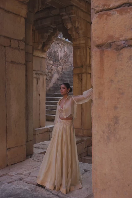 Vaayu Beige Jacket Lehenga Set