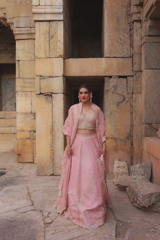 Vaayu Light Pink Jaal Lehenga Set