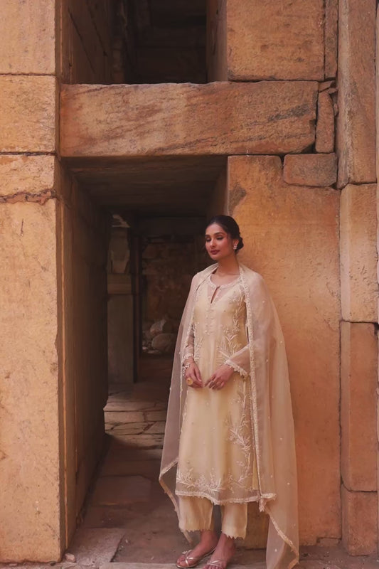 Vaayu Beige Phool Patti Kurta Set