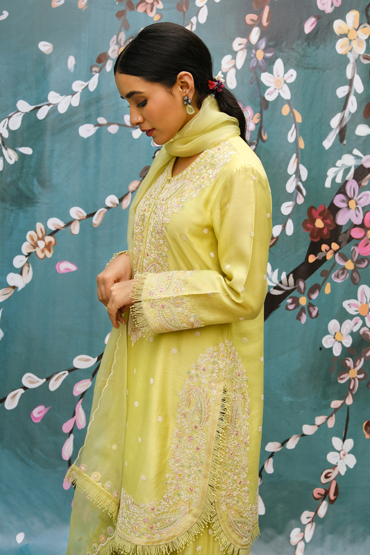 Mint Green Dori Paisley Sharara Set